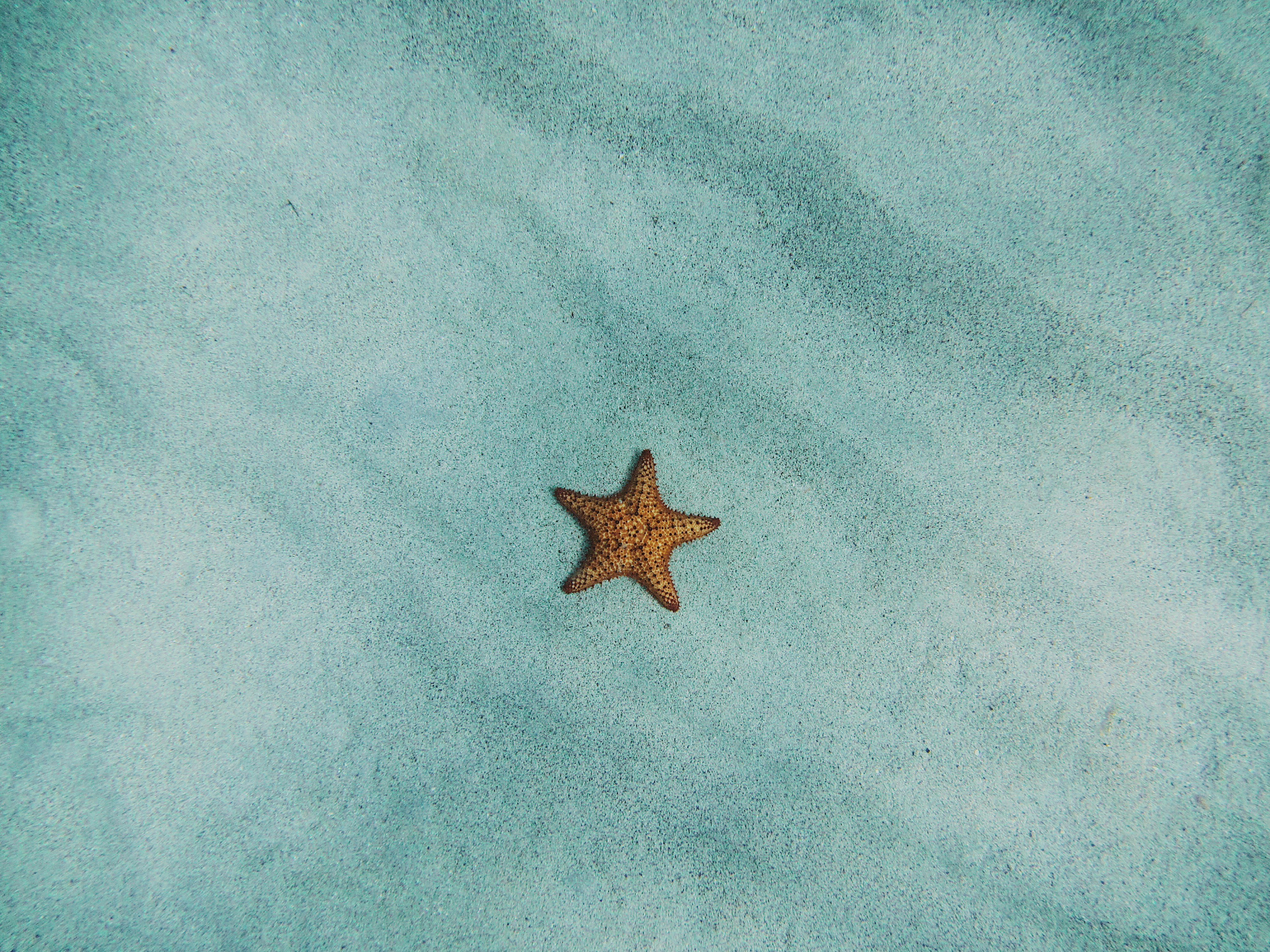 women in swimming pool